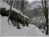 Koča pri Savici - Planina Lopučnica